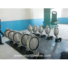 CF8m Wafer Butterfly Valve (WDS)